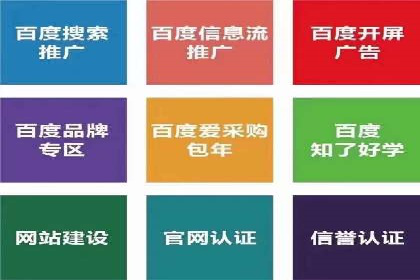 某品牌通过百度竞价提升线上销售业绩的案例